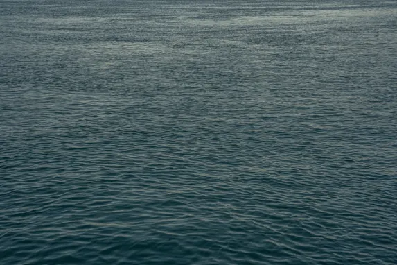 Casino Jackpot Molly Support